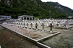 062.jpg